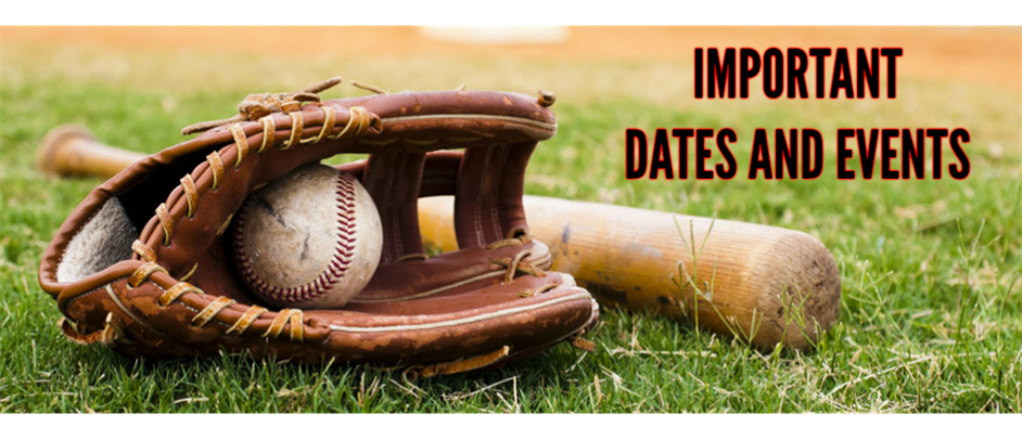 FALL BALL IS IN FULL SWING! Login for team information