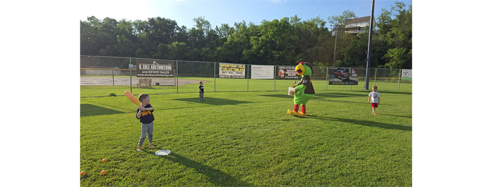 T-Ball Celebration